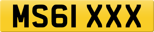 MS61XXX